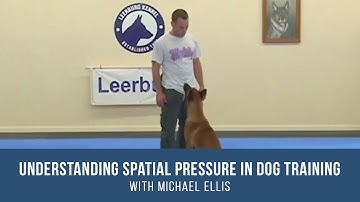 Understanding Spatial Pressure in Dog Training with Michael Ellis