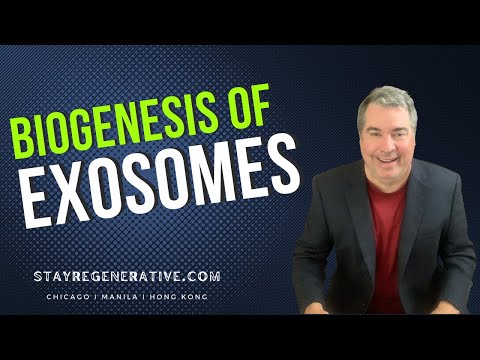 Exosome Biogenesis