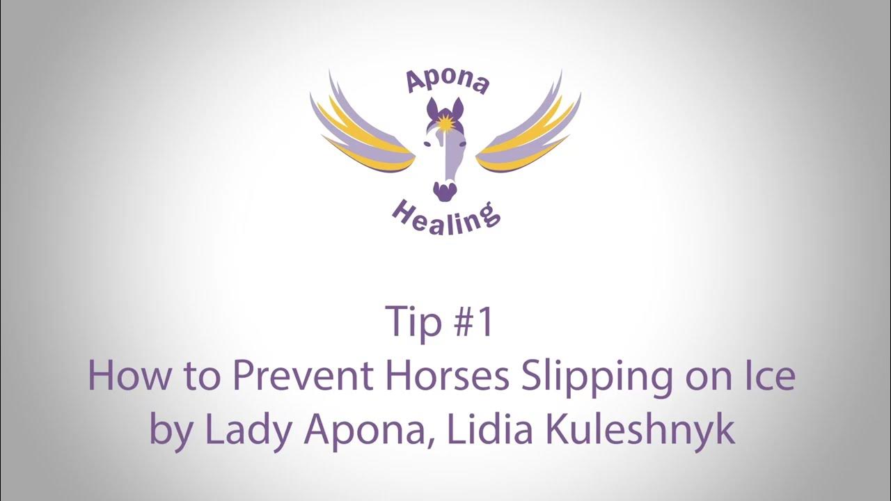 Tip 1 How to Prevent Horses Slipping on Ice YouTube