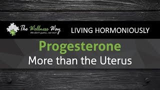 Progesterone: More Than The Uterus | A Different Perspective | Episode 19