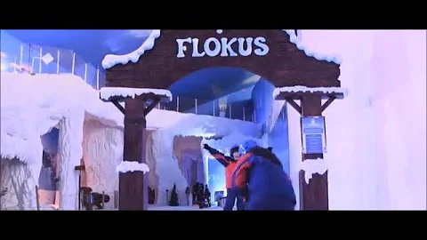 O que levar para o Snowland?