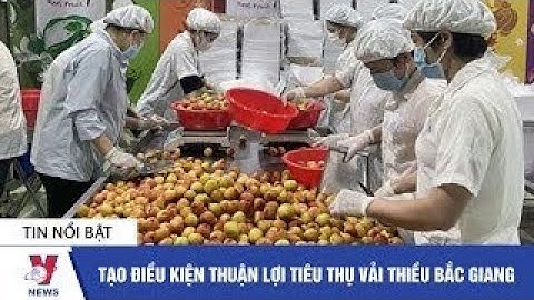 Tạo điều kiện thuận lợi tiêu thụ vải thiều Bắc Giang - VNEWS