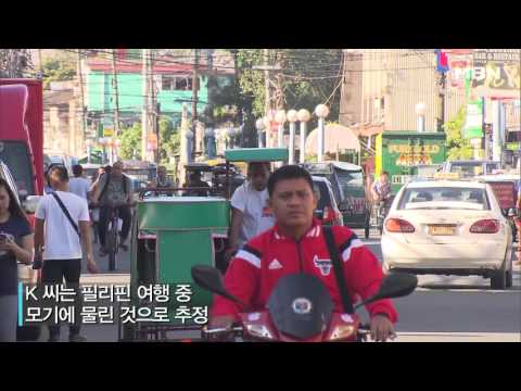 국내 두 번째 '지카 바이러스' 환자 발생, 감염 경로는?!