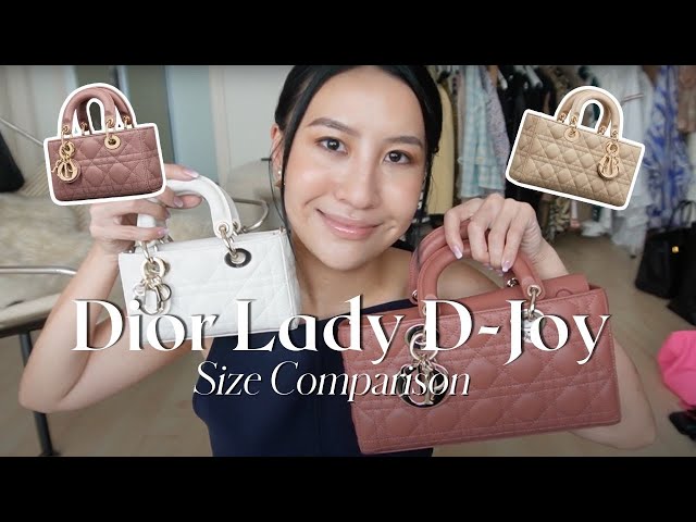 DIOR Lady D-Joy Review 💙 Which Size To Get - Micro, Small and Medium