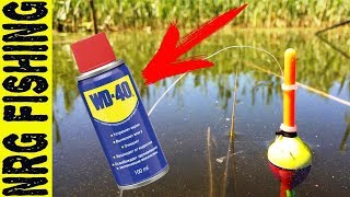 Ловля карася на WD - 40. Это просто БОМБА!!!