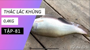 Tập 81 - Mồi câu cá rô đồng, cấm câu luôn cá thác lác, cá trê, cá lóc quá đã | TMQT