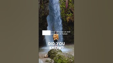 The Placebo Paradox: How Belief Shapes Healing