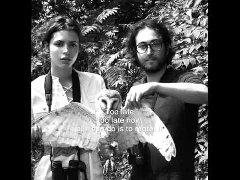 Paper plane - Sean Lennon (with lyrics)