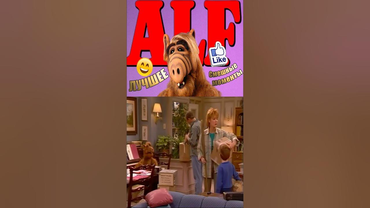 Альф и распялка для кошачьих шкурок 💎 #альф #alf #shorts #сериал #топ # ...