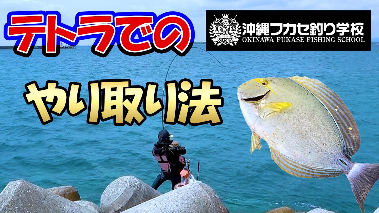 テトラでのやり取りと撒き餌ワーク 石垣島釣り遠征第3弾最終話 Youtube テトラでのやり取りと撒き餌ワーク 石垣島釣り遠征第3弾最終話 Youtube
