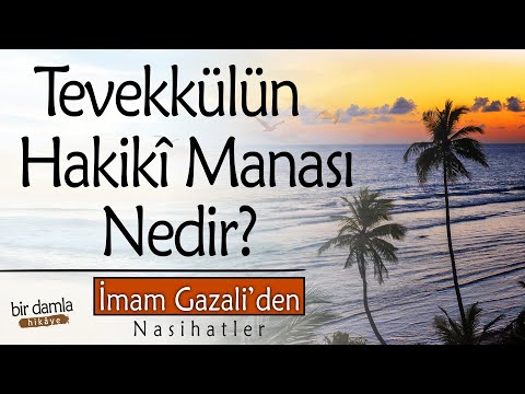 Tevekkülün Hakiki Manası ve Hükmü Nedir? | İmam Gazali'den Nasihatler