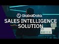 Globaldatas sales intelligence solution