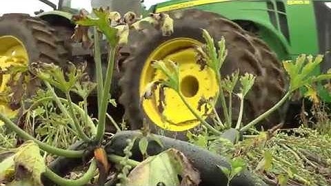 Seattle Farmer Impacted by US Labor Shortage