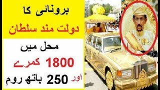 Brunei Ka Sultan aur Uski Dolat -- Hairat Angez