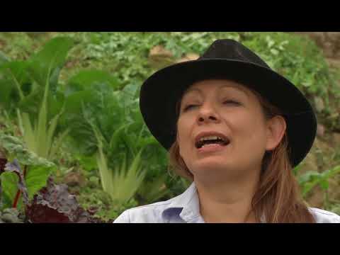 Video: ¿Qué es la agricultura y la jardinería orgánicas?