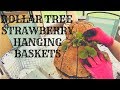 DIY DOLLAR TREE STRAWBERRY HANGING BASKET SPHERES||CONTAINER GARDENING