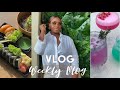 WEEKLY VLOG | NEW HOME DECOR + IKEA HAUL + LUNCH DATE