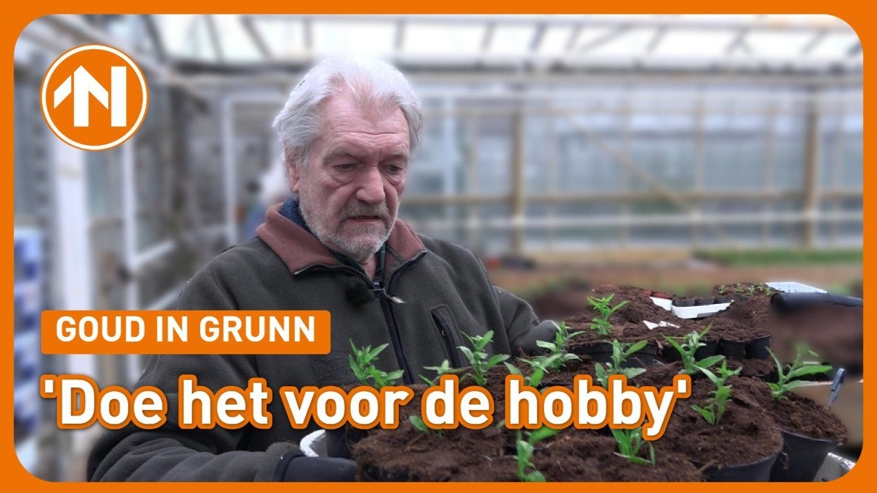 Alex Vissering maakt zijn hoofd het beste leeg tussen de plantjes