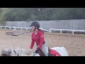 Horseriding pony equestrian  horse riding lesson with quinn part 3 plf equestrian 