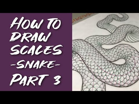 Episode 9: How to draw SCALES (Snake) - Part 3 