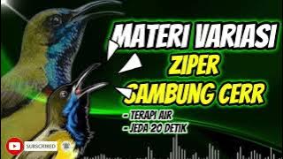 MASTERAN SOGON VARIASI ZIPER SAMBUNG CERR TERAPI AIR DAN JEDA!! #sogon #sogokontonggacor #sogongacor