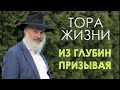 Тора жизни. Из глубин призывая.