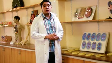 Oncolytic Virotherapy: a cure for cancer!! (#Breakthroughjuniorchallenge)