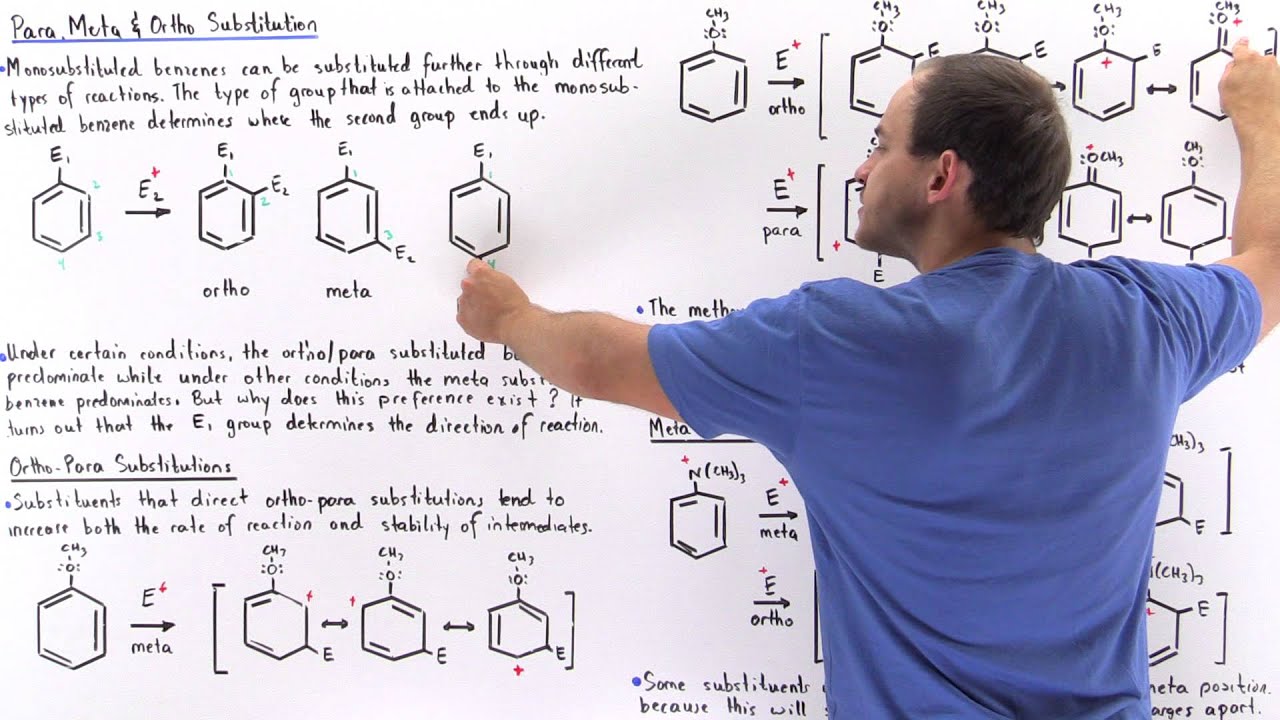 Solved The phenol group activates the benzene ring for | Chegg.com