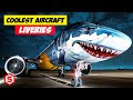 14 Airlines Paint Their Aircraft With Unique Images and Colors - Coolest Special Aircraft Liveries