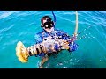 GIANT CRAYFISH Catch And Cook With My Dad In Amazing Weather - Ep 144