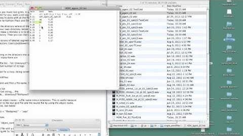 Praat TextGrid Annotation Review of Results.m4v