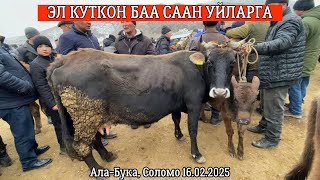 :     |    | -,  | 16.02.2025