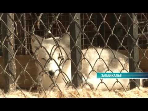 Середина Земли 20.09.16