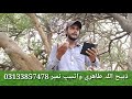 Saari Dunia Kha Mitho Aa Madino New Sindhi Naat