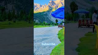 #nature #wildlife #viralvideo #earth #forest #animals #beautiful #explore #relax #4k #shorts #sunny
