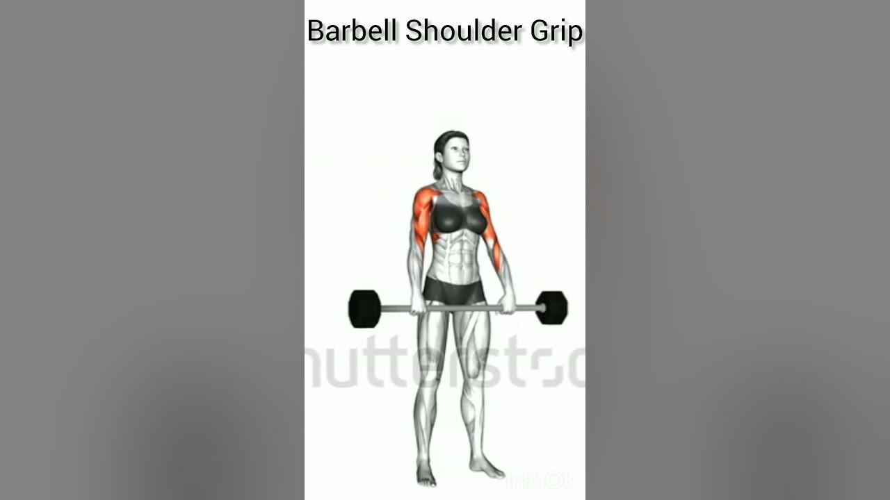 Barbell shoulder grip upright row female. Target muscles are red.