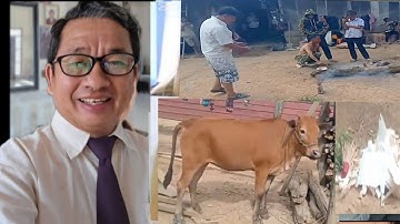 Txiv laus & txiv hluas sib txeeb nyuj hlawv xyab,hlawv ntawv foom kom 1 tug tuag mus.