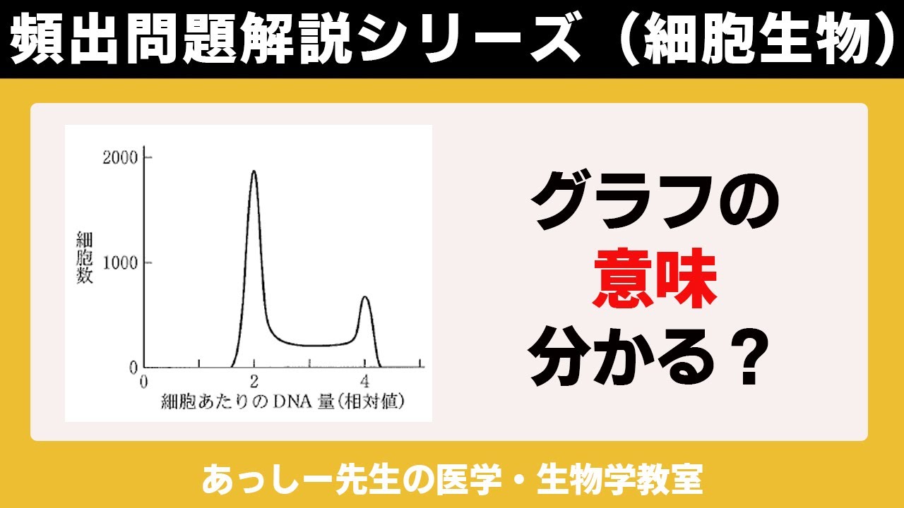 細胞数から細胞周期の推定 頻出問題解説シリーズ 細胞生物 Youtube