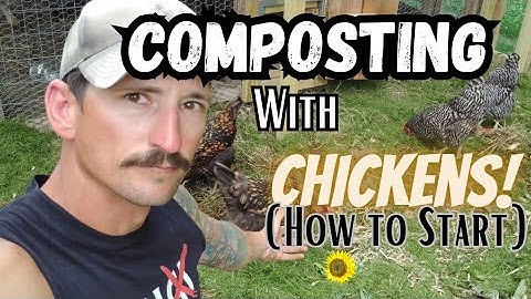 How To Start a Chicken Composting System to Get the BEST Compost