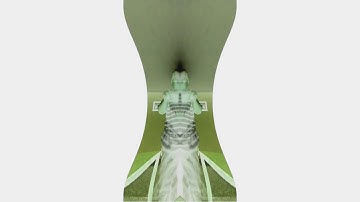 [REQUESTED] Angry The Patrick Show Intro