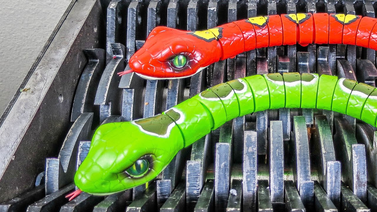SNAKE BROTHERS SHREDDED! COOL EXPERIMENT!