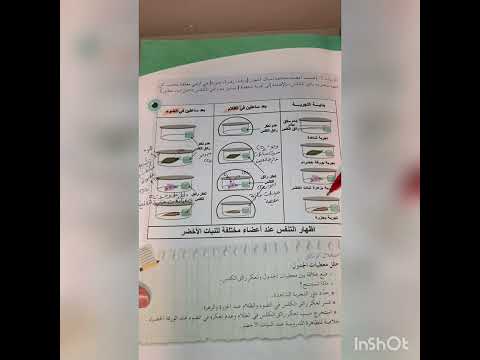 المبادلات الغازية التنفسية عند النبات الأخضر للسنة الأولى متوسط