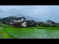 Japan Paradise Rainy Day in Heavenly Beautiful Japanese Villages Countryside [4K HDR]