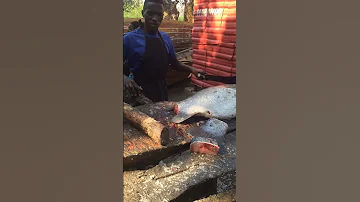 Mwanza Jiji La Sangara Kalibu Sana 