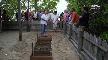 Bảo tồn rùa biển giúp Six Senses Côn Đảo nhận giải thưởng Global Recognition Awards 2024 | BRTgo