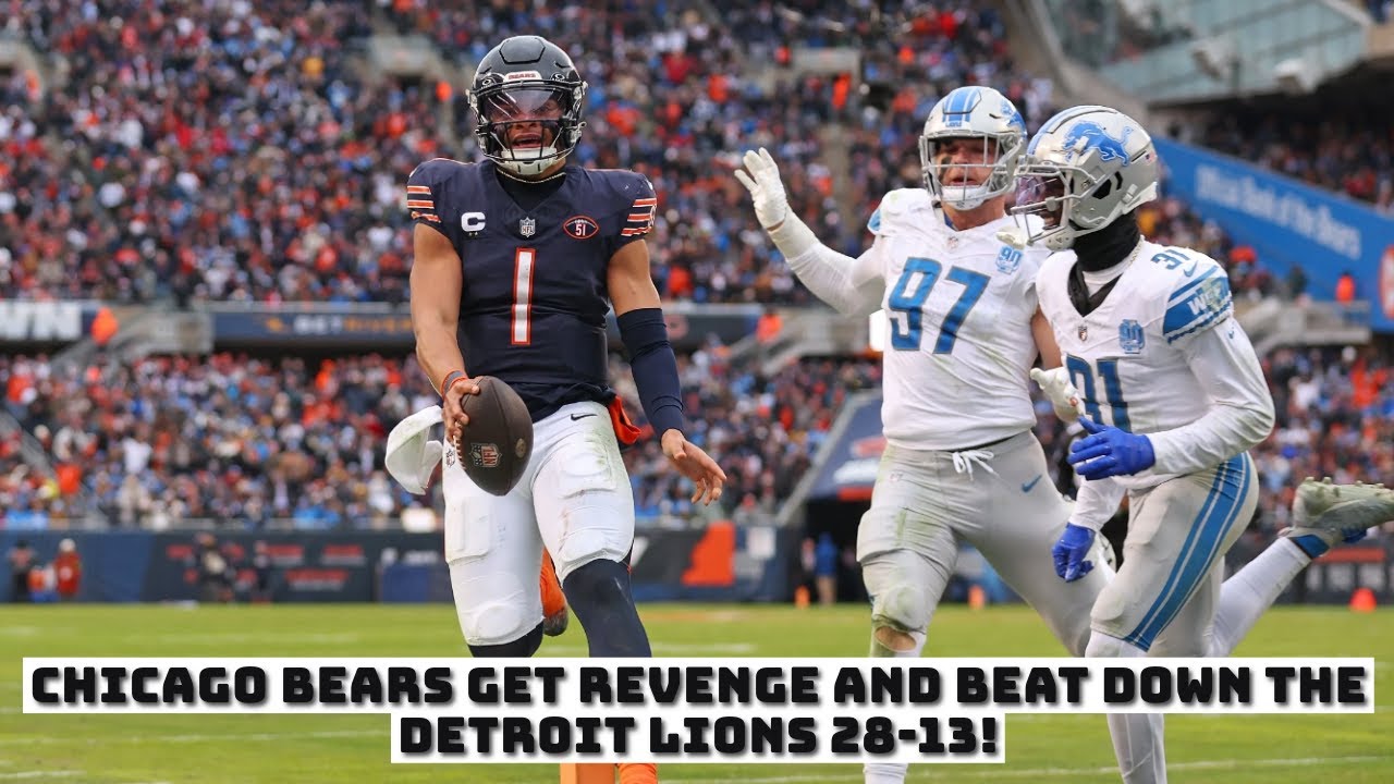 170 Detroit Lions ideas  detroit lions, detroit, detroit lions football