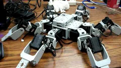 I finally got my Bioloid to connect to my laptop!