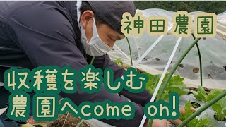 ♪8.【収穫を楽しむ】野菜の経過観察