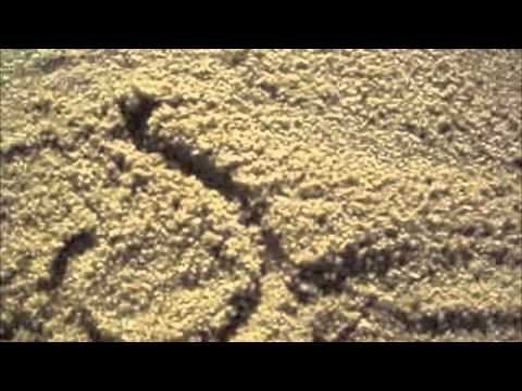 შენ გოგოს ენატრები 3