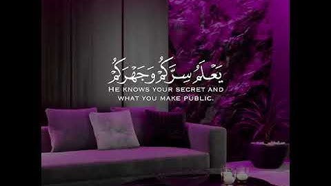 القارئ سعد الغامدي سورة (الأنعام)